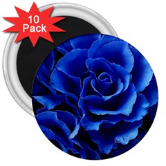 Blue Roses Flowers Plant Romance Blossom Bloom Nature Flora Petals 3  Magnets (10 Pack)  by Cowasu