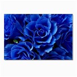 Blue Roses Flowers Plant Romance Blossom Bloom Nature Flora Petals Postcards 5  x 7  (Pkg of 10) Front