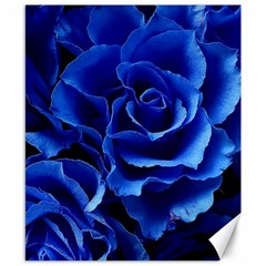 Blue Roses Flowers Plant Romance Blossom Bloom Nature Flora Petals Canvas 8  X 10  by Cowasu