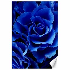 Blue Roses Flowers Plant Romance Blossom Bloom Nature Flora Petals Canvas 20  X 30  by Cowasu