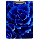 Blue Roses Flowers Plant Romance Blossom Bloom Nature Flora Petals A4 Acrylic Clipboard Front