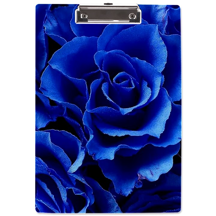 Blue Roses Flowers Plant Romance Blossom Bloom Nature Flora Petals A4 Acrylic Clipboard