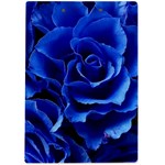 Blue Roses Flowers Plant Romance Blossom Bloom Nature Flora Petals A4 Acrylic Clipboard Back