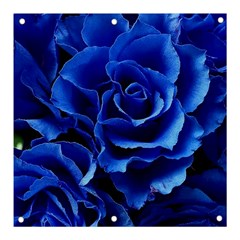 Blue Roses Flowers Plant Romance Blossom Bloom Nature Flora Petals Banner And Sign 3  X 3  by Cowasu