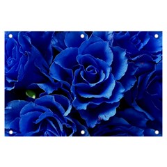 Blue Roses Flowers Plant Romance Blossom Bloom Nature Flora Petals Banner And Sign 6  X 4  by Cowasu