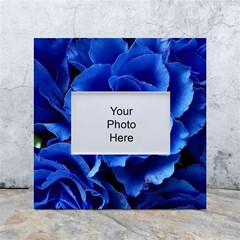 Blue Roses Flowers Plant Romance Blossom Bloom Nature Flora Petals White Box Photo Frame 4  X 6  by Cowasu