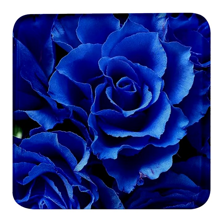 Blue Roses Flowers Plant Romance Blossom Bloom Nature Flora Petals Square Glass Fridge Magnet (4 pack)