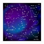 Realistic Night Sky With Constellations Medium Glasses Cloth (2 Sides) Back