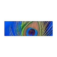 Blue Peacock Feather Sticker Bumper (100 Pack) by Amaryn4rt