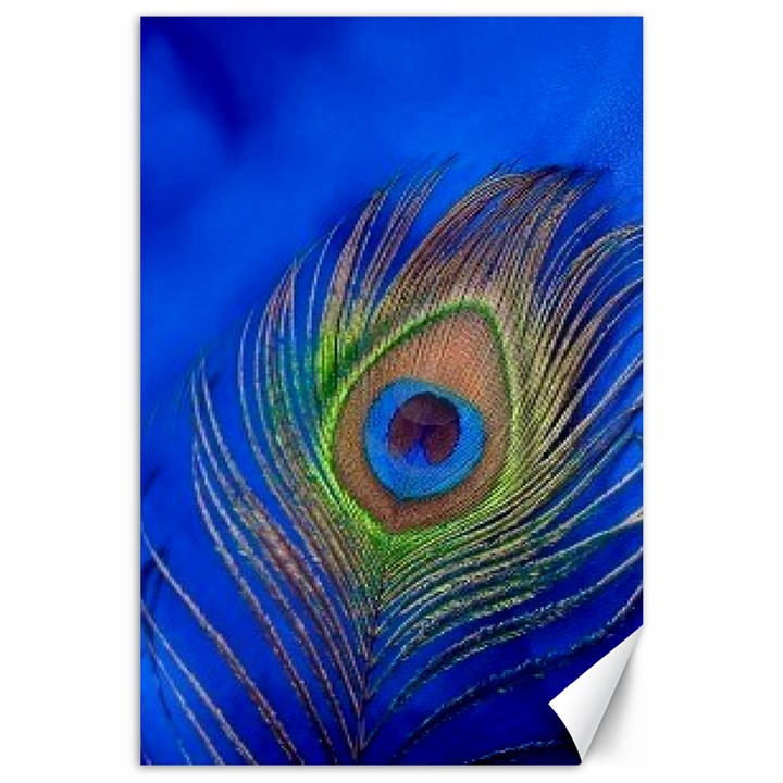 Blue Peacock Feather Canvas 24  x 36 