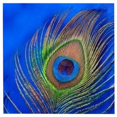 Blue Peacock Feather Wooden Puzzle Square by Amaryn4rt