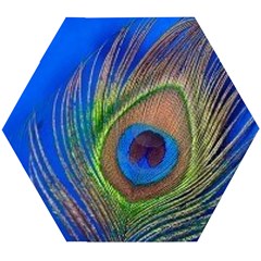 Blue Peacock Feather Wooden Puzzle Hexagon by Amaryn4rt