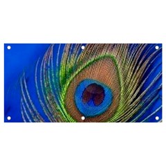 Blue Peacock Feather Banner And Sign 4  X 2  by Amaryn4rt