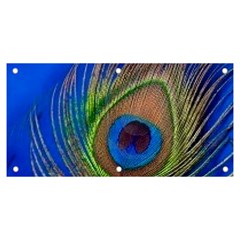 Blue Peacock Feather Banner And Sign 6  X 3  by Amaryn4rt