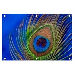 Blue Peacock Feather Banner And Sign 6  X 4  by Amaryn4rt