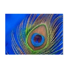 Blue Peacock Feather Crystal Sticker (a4) by Amaryn4rt