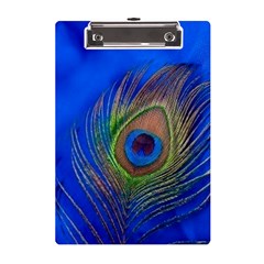 Blue Peacock Feather A5 Acrylic Clipboard by Amaryn4rt