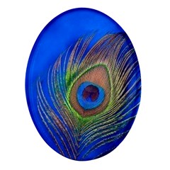 Blue Peacock Feather Oval Glass Fridge Magnet (4 pack)