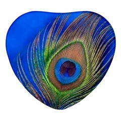 Blue Peacock Feather Heart Glass Fridge Magnet (4 pack)