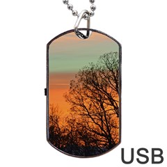 Twilight Sunset Sky Evening Clouds Dog Tag Usb Flash (one Side) by Amaryn4rt