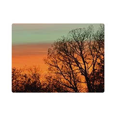 Twilight Sunset Sky Evening Clouds Premium Plush Fleece Blanket (mini)