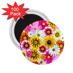 Flowers Blossom Bloom Nature Plant 2 25  Magnets (100 Pack)  by Amaryn4rt