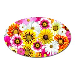 Flowers Blossom Bloom Nature Plant Oval Magnet by Amaryn4rt