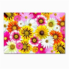 Flowers Blossom Bloom Nature Plant Postcard 4 x 6  (pkg Of 10) by Amaryn4rt