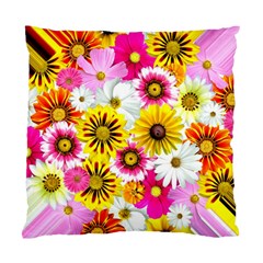 Flowers Blossom Bloom Nature Plant Standard Cushion Case (two Sides) by Amaryn4rt