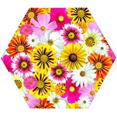 Flowers Blossom Bloom Nature Plant Wooden Puzzle Hexagon by Amaryn4rt