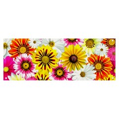 Flowers Blossom Bloom Nature Plant Banner And Sign 8  X 3  by Amaryn4rt