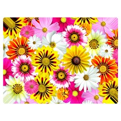 Flowers Blossom Bloom Nature Plant Two Sides Premium Plush Fleece Blanket (extra Small) by Amaryn4rt