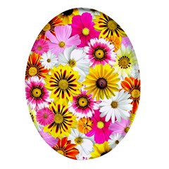 Flowers Blossom Bloom Nature Plant Oval Glass Fridge Magnet (4 Pack) by Amaryn4rt