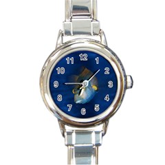 Fish Blue Animal Water Nature Round Italian Charm Watch by Amaryn4rt