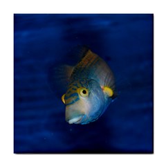 Fish Blue Animal Water Nature Tile Coaster by Amaryn4rt