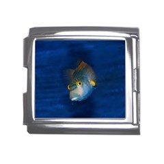 Fish Blue Animal Water Nature Mega Link Italian Charm (18mm) by Amaryn4rt