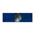 Fish Blue Animal Water Nature Sticker Bumper (100 pack) Front