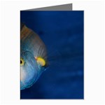 Fish Blue Animal Water Nature Greeting Cards (Pkg of 8) Left