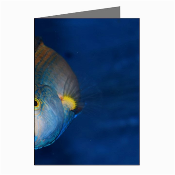 Fish Blue Animal Water Nature Greeting Cards (Pkg of 8)