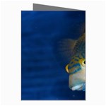 Fish Blue Animal Water Nature Greeting Cards (Pkg of 8) Right