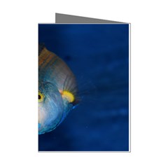 Fish Blue Animal Water Nature Mini Greeting Cards (pkg Of 8) by Amaryn4rt