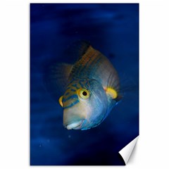 Fish Blue Animal Water Nature Canvas 24  X 36  by Amaryn4rt