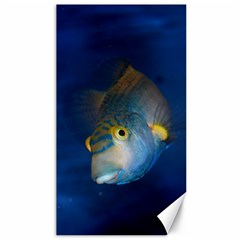 Fish Blue Animal Water Nature Canvas 40  X 72  by Amaryn4rt