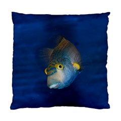 Fish Blue Animal Water Nature Standard Cushion Case (two Sides) by Amaryn4rt