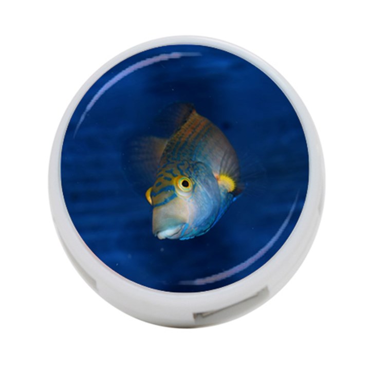 Fish Blue Animal Water Nature 4-Port USB Hub (One Side)