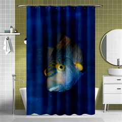 Fish Blue Animal Water Nature Shower Curtain 48  X 72  (small)  by Amaryn4rt