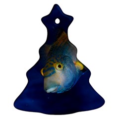 Fish Blue Animal Water Nature Christmas Tree Ornament (two Sides)