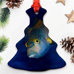 Fish Blue Animal Water Nature Christmas Tree Ornament (Two Sides) Front