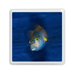 Fish Blue Animal Water Nature Memory Card Reader (square) by Amaryn4rt