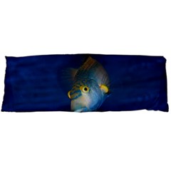 Fish Blue Animal Water Nature Body Pillow Case (dakimakura) by Amaryn4rt